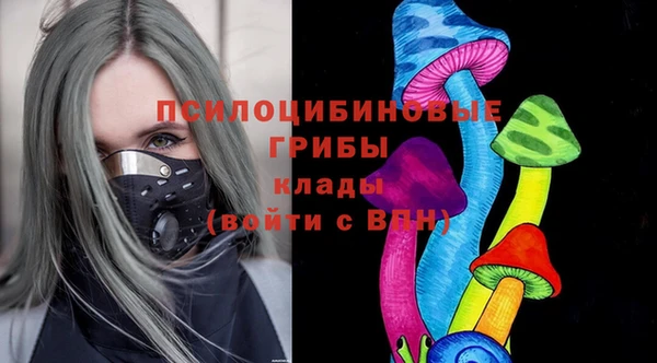 прущая мука Абаза